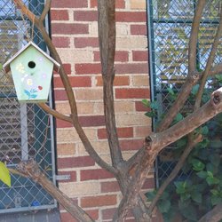 Fourth Street Elementary School - View from garden next to library.