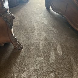 Carpet looks new Carpet looks new