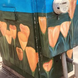 Tulip Art - Tulips