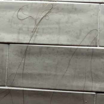 Alyeska Resort - Long black hairs on the shower wall this morning! No brunette's in my room! - Ski Resorts Near Me - Girdwood, Alaska Alyeska Resort - Long black hairs on the shower wall this morning! No brunette's in my room! - Ski Resorts Near Me - Girdwood, Alaska