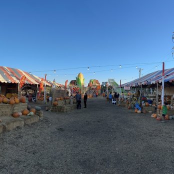 The Pumpkin Factory - Pumpkin Patches Near Me - Corona, California The Pumpkin Factory - Pumpkin Patches Near Me - Corona, California