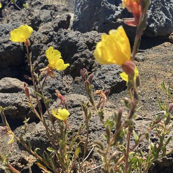 Haleakalā Summit - Historical Tours Near Me