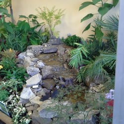 Organically You - Water feature in Gardening section.
