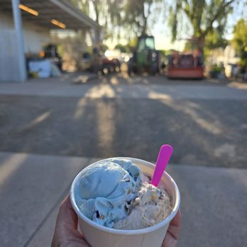 Cream Of The Crop - Starry Night with Shake & Fries! - Ice Cream & Frozen Yogurt Near Me - Gilbert, Arizona Cream Of The Crop - Starry Night with Shake & Fries! - Ice Cream & Frozen Yogurt Near Me - Gilbert, Arizona