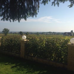 Weingut Schlossberg - Ausblick aus dem Gastgarten!