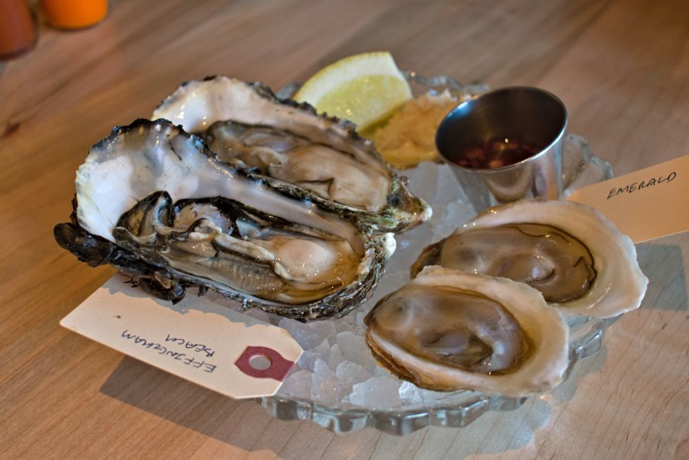 Island Oysters Logo