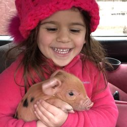 P V Farm Stand - Born on the farm