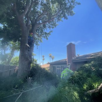 L&P Tree Service - Landscaping Near Me