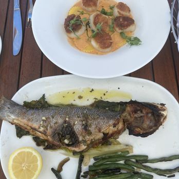Louie's - Branzino & Scallops and Lobster Ravioli - Seafood Near Me - Port Washington, New York Louie's - Branzino & Scallops and Lobster Ravioli - Seafood Near Me - Port Washington, New York