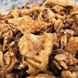 Crispy Fried Calamari