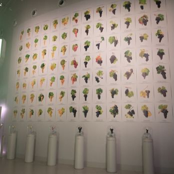 La Cité du Vin - Variety of grapes - Museums Near Me - Bordeaux, 33