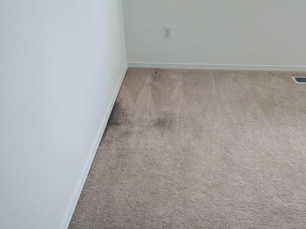 JOHN’S CARPET REPAIR Updated August 2024 25 Reviews Seattle