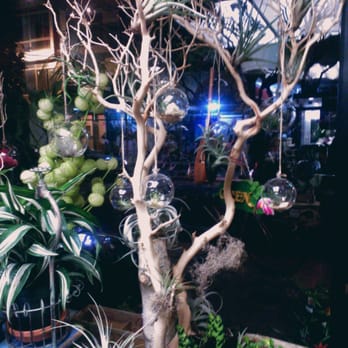 Joy's Flowers Pot - Florists Near Me - New York, New York