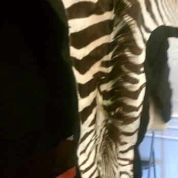 PCS of Eastern Long Island - We can even clean animal skin rugs. - Carpet Cleaning Near Me - Westhampton Beach, New York PCS of Eastern Long Island - We can even clean animal skin rugs. - Carpet Cleaning Near Me - Westhampton Beach, New York