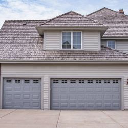 Lion Garage Door