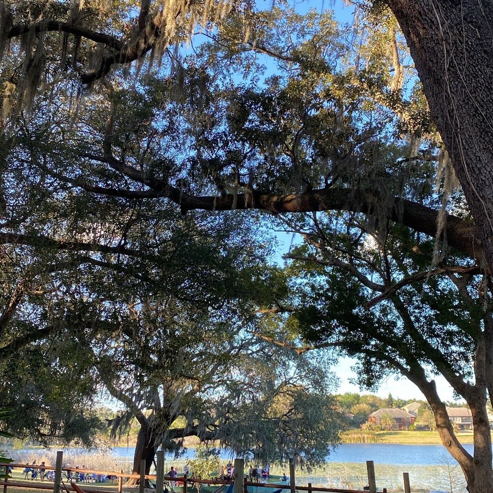 Munchies Live BBQ - Hammocks included for the outdoor vibes - Barbeque Near Me - Mount Dora , Florida Munchies Live BBQ - Hammocks included for the outdoor vibes - Barbeque Near Me - Mount Dora , Florida