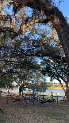 Munchies Live BBQ by null