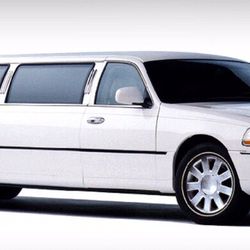 Giovanni Coach