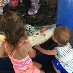 A Paul S Bell, DDS - A huge fish tank keeps the kid occupied while waiting.