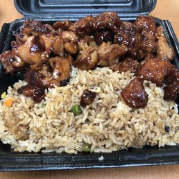 chicken and rice in a styrofoam container chicken and rice in a styrofoam container