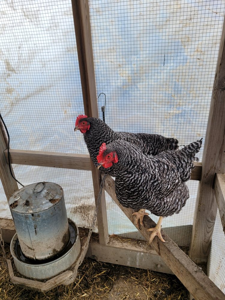 EASY LIVING FARMS Updated September 2024 Blue Grass, Iowa Popup