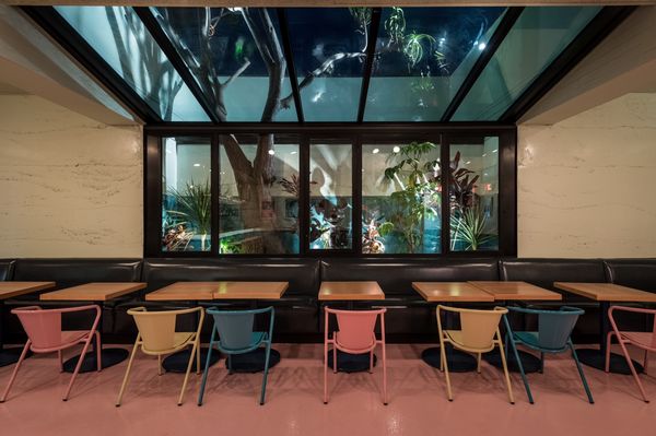 The Little Friend by null