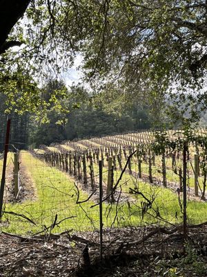 Schermeister Winery by null