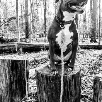 Conway Robinson State Forest - Hiking Near Me - Gainesville, Virginia