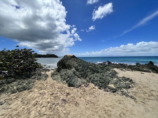 El Gallito ( Gringo Beach ) by null