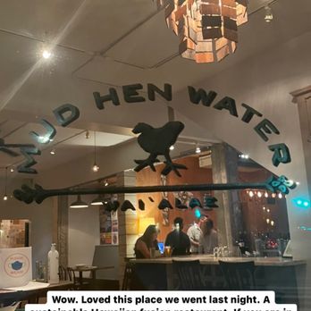 Mud Hen Water - Mud hen water - Hawaiian Near Me - Honolulu, Hawaii Mud Hen Water - Mud hen water - Hawaiian Near Me - Honolulu, Hawaii