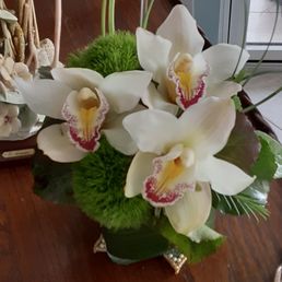 Orchid arrangement Orchid arrangement