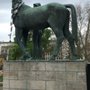 Photo of Mann mit Pferd