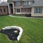 Photo of The Mulch Lot