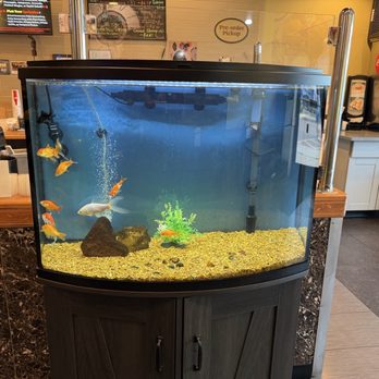 Wanna Poke - Nice and serene fish tank - Poke Near Me - Centennial, Colorado Wanna Poke - Nice and serene fish tank - Poke Near Me - Centennial, Colorado