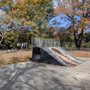 Photo of Ackerman Park Skatepark