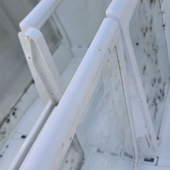 Classic Restoration and Construction - Mold left in the fridge as they didn't properly store or maintain the appliances as I was in the air b n b - Flooring Near Me - Lake Forest, California