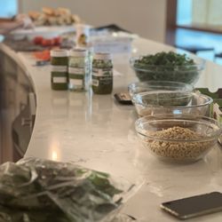 Opal: Food+Body Wisdom