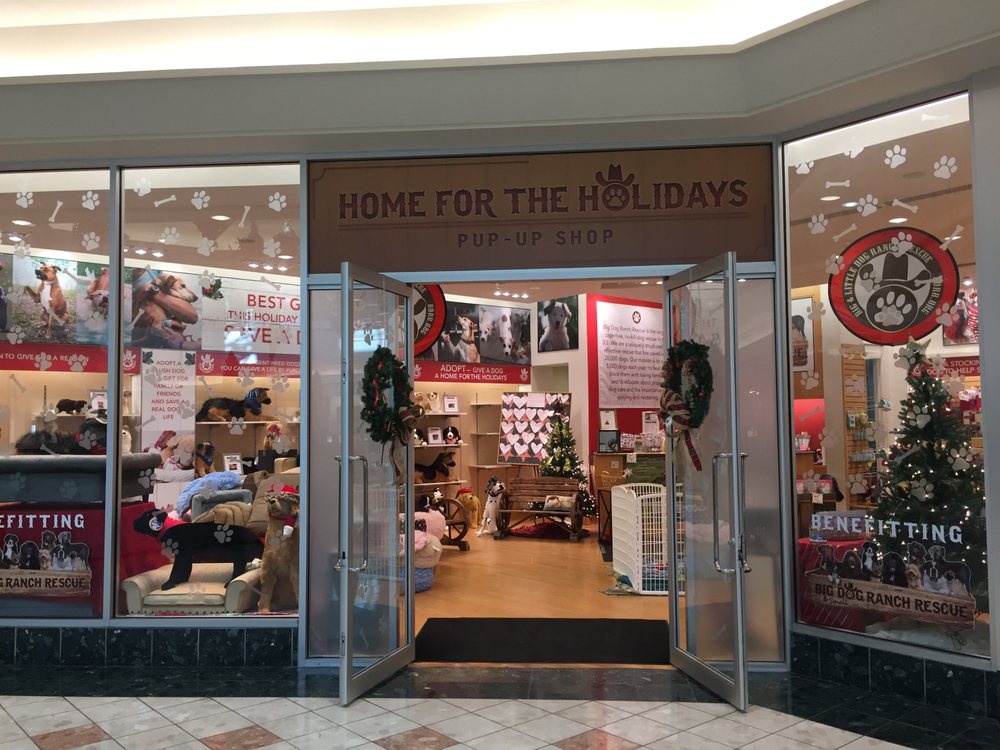 PAWS For Love Pup-Up Shop Image