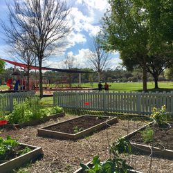 Fred Cone Park - Community Garden with play area in the background