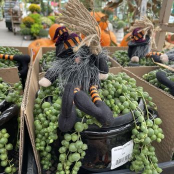 ARMSTRONG GARDEN CENTERS - Updated March 2026 - 182 Photos & 103