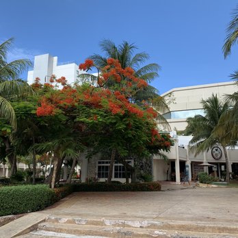 Restaurante Chino 中餐厅 - 门前的风景 - Chinese Near Me - Cancún, ROO