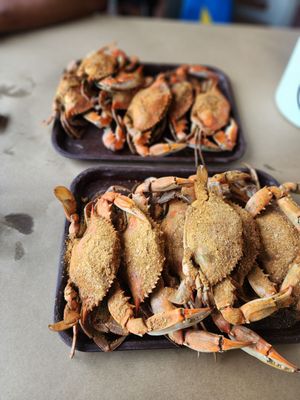 Fisherman's Crab Deck by null