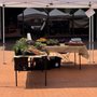 Photo of Little Tokyo Farmers' Market
