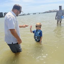 Need for Sea Boat Tours