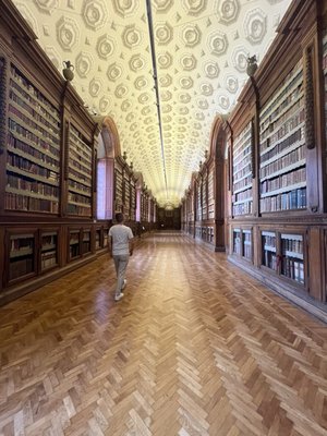 Photo of Palatina Library