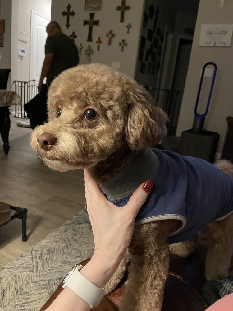 AUTUMN’S PAMPERED PAWS Updated September 2024 21 Photos & 13