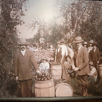 The Cider House - Cideries Near Me - Winchester, Virginia The Cider House - Cideries Near Me - Winchester, Virginia