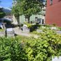 Photo of First Bloom Native Plant Garden