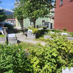 First Bloom Native Plant Garden