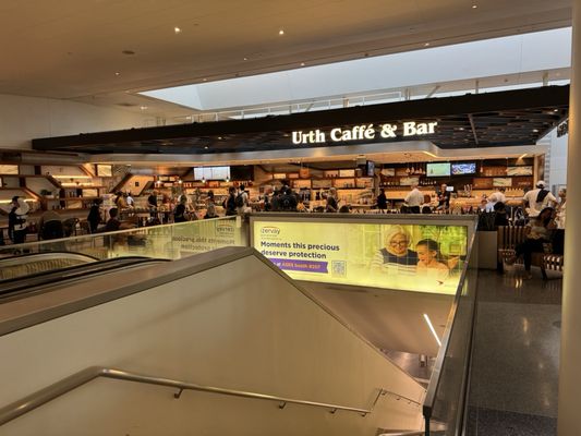 Urth Caffe & Bar by null